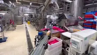 Saudi Case | Transfer/Pick & Place for Label Papel by CRA