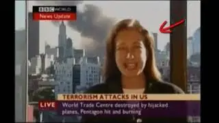 WTC7