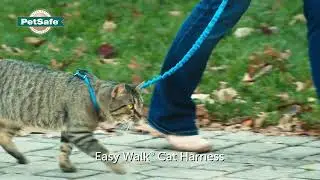 PetSafe&reg; Easy Walk&reg; Cat Harness & Lead