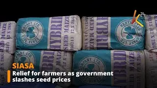 Government reduces farm seed prices to ease farmers' burden