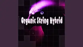 Organic String Hybrid
