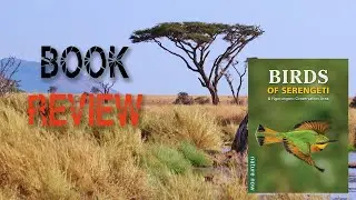 Birds of the Serengeti & Ngorongoro Conservation Area &ndash; Book Review for Birders & Travellers