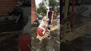 #music #cute #youtubeshort #funnypets #animallife #anmals #funnyanimals #funny #funnycreatures