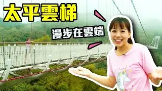 【嘉義梅山】人間仙境～走上吊橋漫步在雲端｜現煮黑糖薑母，熬煮九小時才有的好滋味！｜太平雲梯｜ep.311