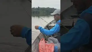 Indah  suara nya, #ELFISHING
