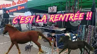 rentr&eacute;e 2024-2025 avec les chevaux de l'association ✨ CHEVAL de VIE ✨