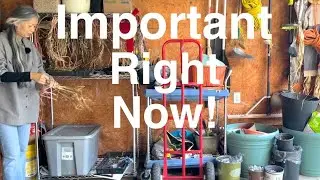 Organizing Decluttering Cleaning the Garage for Our Overwinter Plant Guests