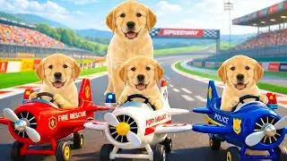 Puppy Dog Ben & Police Car Fight the Fox to Rescue Sheep! Funny Animal