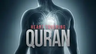 Heart Touching Quran Translation | Quran For Knowledge