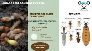 Post Construction Anti termites Treatment