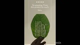 leaf engraving photo  #art #photoengraving #laserengravedgifts #co2laserengravingcuttingmachine