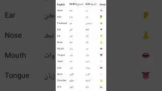 Name of Part Human Body in Urdu and Sindhi #english #sindhi #urdu