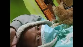 gandil naplok terus ini guys#trending #fyp #viral #viral