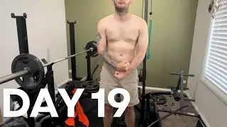 Day 19 working for 30 minutes a day to get jacked 