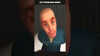 Rat Problems GMod Animation #shorts #memes #brainrot  #babyduck #nextbot