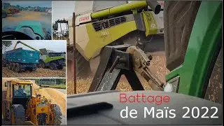 BATTAGE de Maïs Grain XXL 👀🚜/3 Batteuses Claas/4 Ensembles/1 broyeur. Alimentation porc 🌽🐷