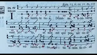 In voluntate tua Domine - Ad introitum