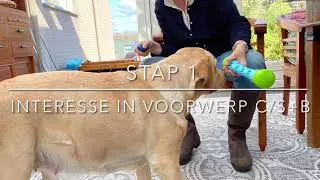 Apporteren in 10 stappen- stap 1 t/m 3