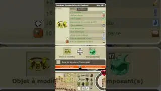 Petit exo ceinture rasboulaire sur boune [DOFUS RETRO]