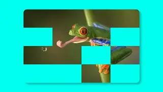 Image Animation In HTML And CSS | Image Animation CSS | ProgrammingTT