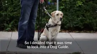 Lions Foundation of Canada Dog Guides - Video (with English Subtitles)