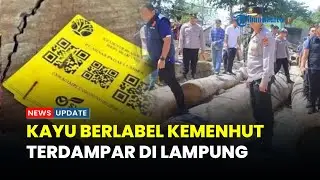 Kayu Gelondongan Berlabel Kemenhut dan PT MPL Ditemukan Penuhi Pantai Lampung