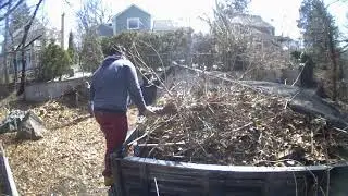Backyard Clean Up Time Lapse