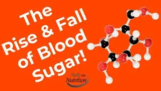 Unlocking the Mystery: How your body regulates blood glucose