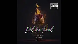 DiL Ka Haal - | Aarav Mishra ft. MR.SiNGH | Official Audio