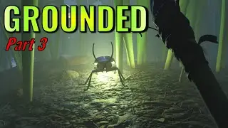 Grounded - Part 3: The Second Base