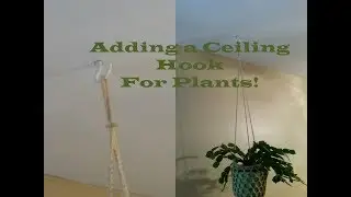 Adding a Ceiling Hook for Plants