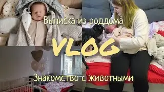 ВЫПИСКА ИЗ РОДДОМА || ПЕРВЫЙ ДЕНЬ ДОМА || ЗНАКОМСТВО С ЖИВОТНЫМИ