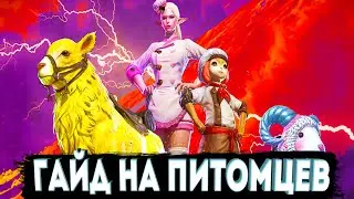ГАЙД на Питомцев l Где брать и Каких выбрать? [Bless Mobile]