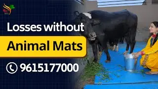 India's No.1 Cow Mat Factory | Bharat Mat Company