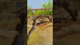 100 Years Old Irrigation System Punjab #trendingshorts