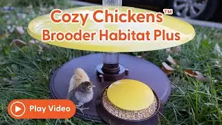 Cozy Chickens&trade; - Brooder Habitat Plus: Perfect Comfort for Your Chicks