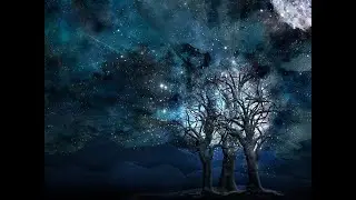 Biliyorum -  NeroLeyd Offical Song