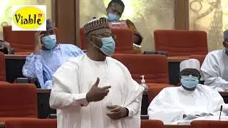 Borno Killings : Buhari Not Doing Enough, Says Katsina Senator, Babba Kaita