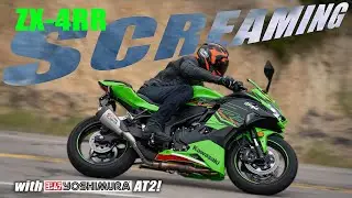 SCREAMING 2025 Kawasaki Ninja ZX4RR with Yoshimura AT2