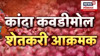 Shetakari News | Onion Price Crash| कांद्याचे दर पडले, सरकारला जाग कधी? | Marathi News