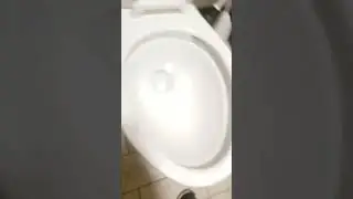 Kohler Cimarron Rev. 360