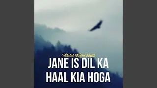 Jane Is Dil Ka Haal Kia Hoga