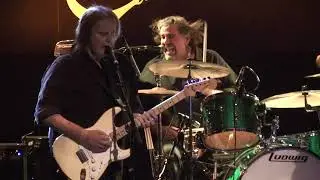 Almost Gone - Walter Trout - LIVE!!! @ the Canyon Club - musicUcansee.com