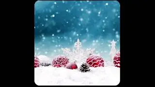 Christmas vibes 