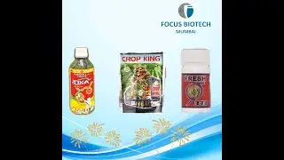 Shahaji Dareba Bhosale  Maharashtra Using Focus Biotech Product #Tika #Cropking #Fresh333 for #Chili