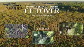 Cutover, Overlooked and Undervalued