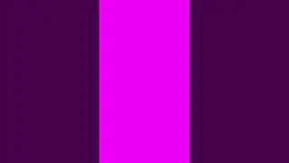 Magenta Screen in 4K &ndash; Bright Solid Color Short Video