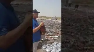 Destroying Illegal Whisky | 10,000+ Ltr Alcohol Destroyed