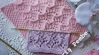 Sarmaşık Modeli