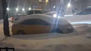 New York City , BRONX IS ICC Neigh Neige